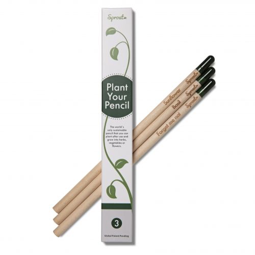 Sprout packaging - 3 pcs - Image 1